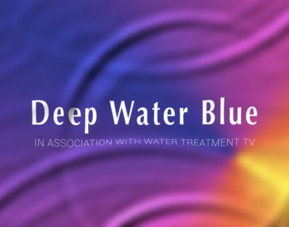 Deep Water Blue and The Combustion Engineering Association Technical Boilerhouse Risk Assessment Conference-Crewe November 2021